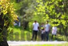 上床视频麻豆-模特、网络与隐忧，对上床视频事件的深思