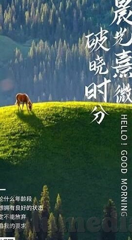 糖心app官网下载最新-关于糖心app官网下载最新——现代生活小工具的便利性