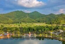 糖心app免费入口-